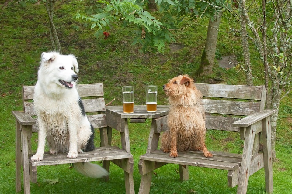 broad close farm, holiday accommodation rackenford, holiday accommodation mid devon