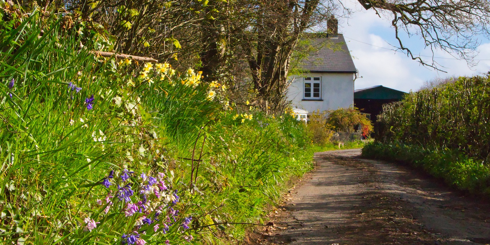 broad close farm, holiday accommodation rackenford, holiday accommodation mid devon