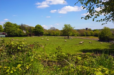 broad close farm, holiday accommodation rackenford, holiday accommodation mid devon