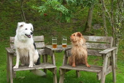 broad close farm, holiday accommodation rackenford, holiday accommodation mid devon