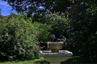 broad close farm, holiday accommodation rackenford, holiday accommodation mid devon