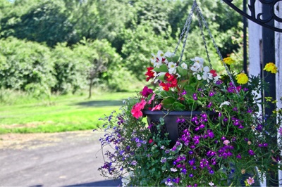 broad close farm, holiday accommodation rackenford, holiday accommodation mid devon