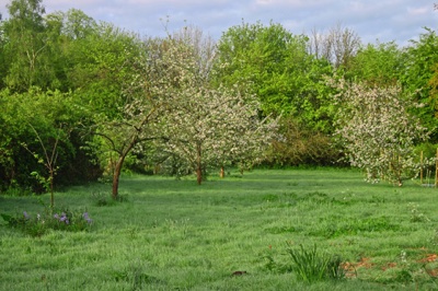 broad close farm, holiday accommodation rackenford, holiday accommodation mid devon