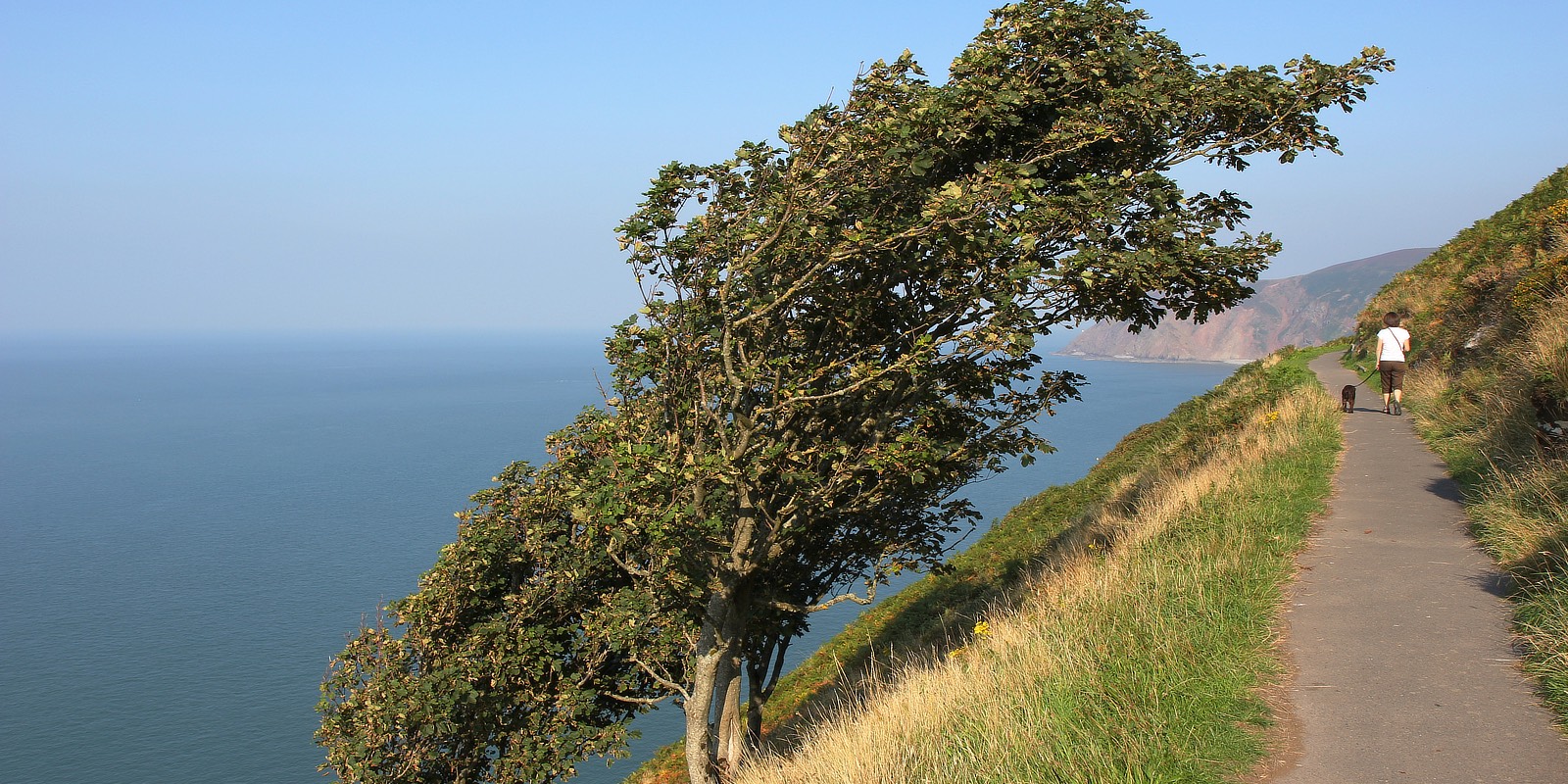 broad close farm, holiday accommodation rackenford, holiday accommodation mid devon